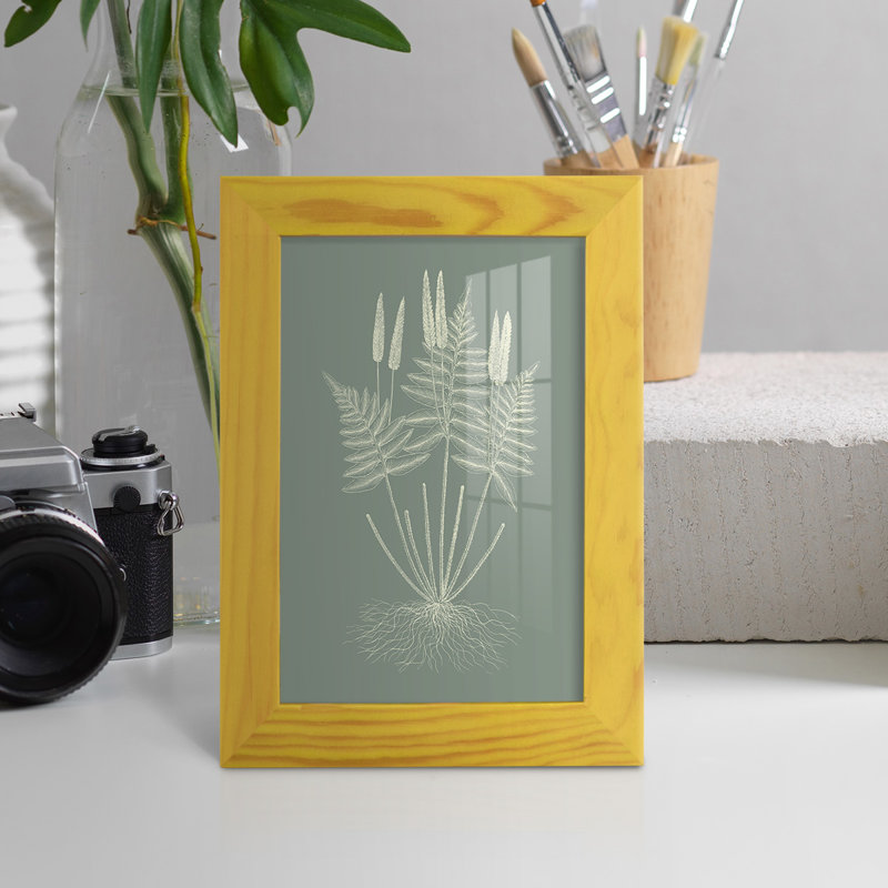 Ferns On Sage VII, encadré sur papier, H 6 po x l 4 po x P 1 po, Jaune