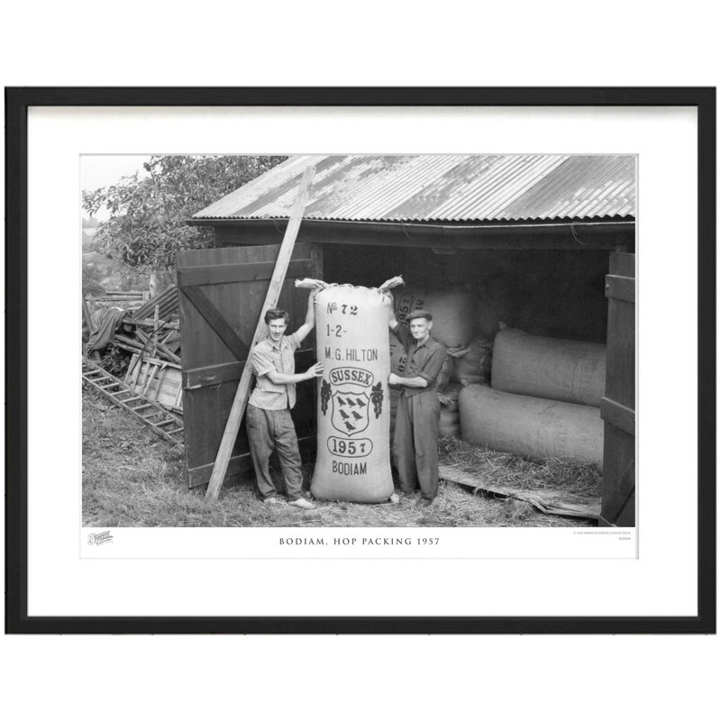 Bodiam, Hop Packing 1957 by Francis Frith - Single Picture Frame Print, 60cm H x 80cm W x 2.3cm D