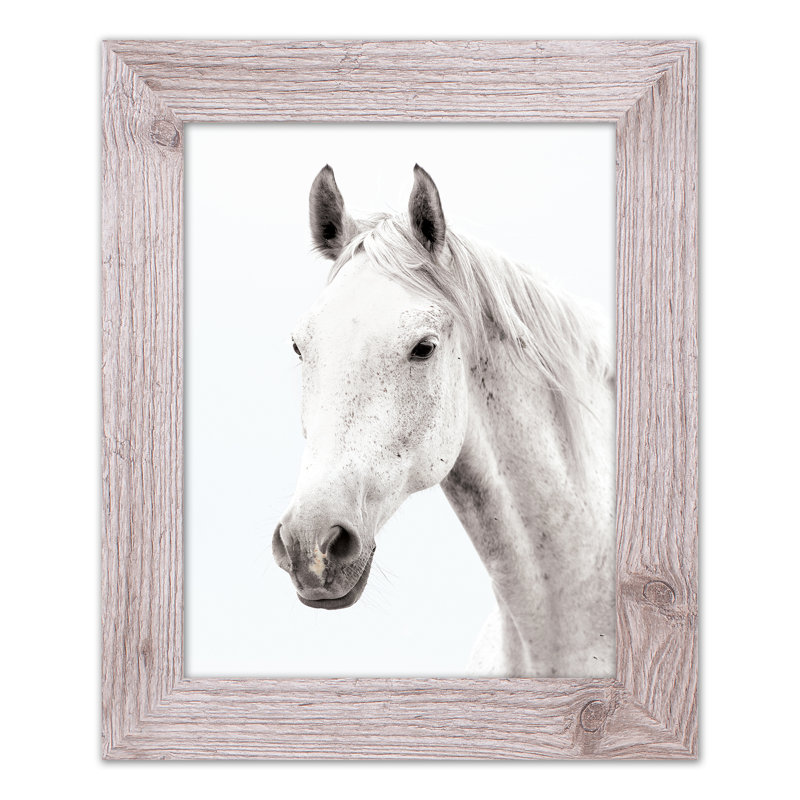 «White Horse», reproduction encadrée, H 14 po x l 11 po x P 0,75 po, Blanc