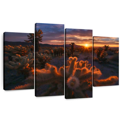 Alvord Mojave Desert Sunrise