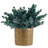 Artificial Eucalyptus Faux Plants In Pot