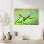 Green Stick Grasshopper Delicate Serene Grasshopper Nature Plant Wall Art Print 1 Piece Wrapped Canvas Wall Art-262034423