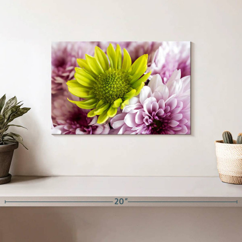 Harnek Yellow Daisy