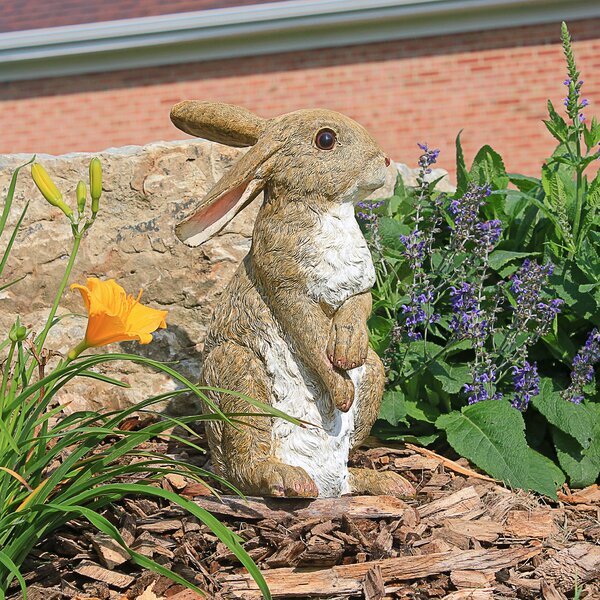 https://assets.wfcdn.com/im/38500790/resize-h600-w600%5Ecompr-r85/1176/117632616/Hopper%2C+the+Bunny%2C+Standing+Garden+Rabbit+Statue.jpg