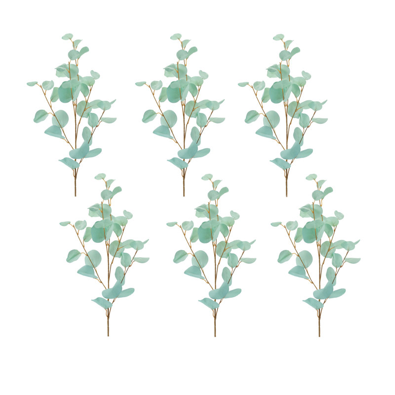 Eucalyptus vapeur, Bleu