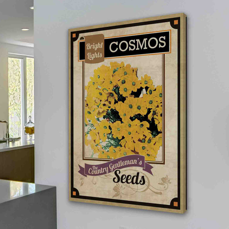 Flower Packet Cosmos - Wrapped Canvas Print, 46 cm H x 30 cm W