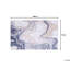 Casady Abstract Area Rug-38550838