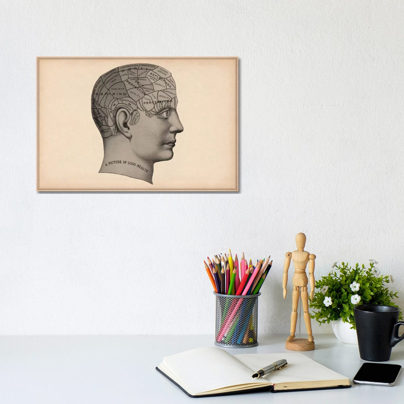 Phrenology Human Head - Wrapped Canvas Print, 20.32 cm H x 30.48 cm W