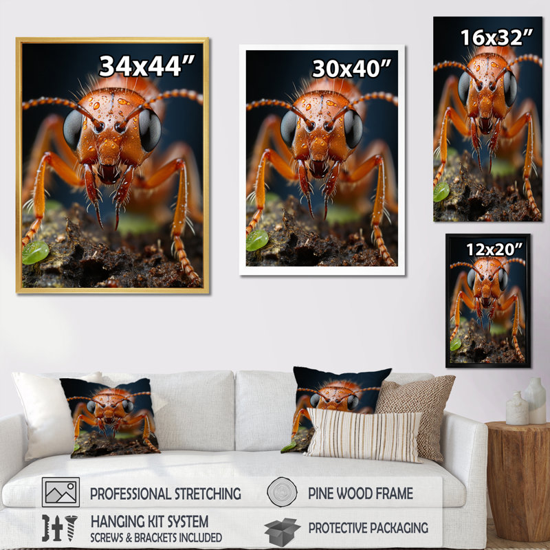 «Ant Delicate Explorer IV», reproduction sur toile, H 44 po x l 34 po x P 1,5 po, Cadre flottant noir