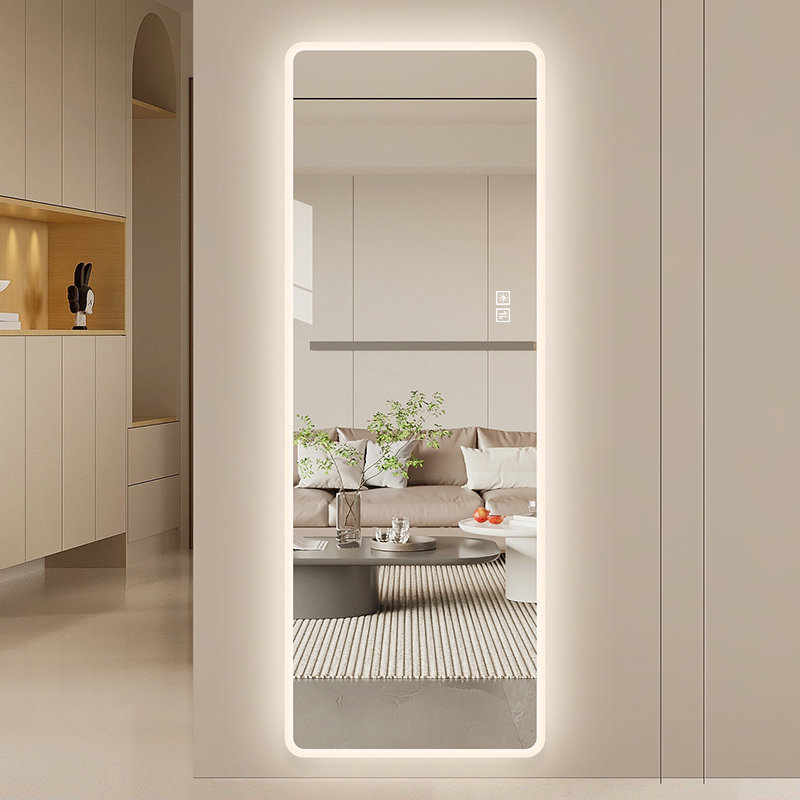 Miroir à DEL pleine longueur 65 po x 24 po x 0,98 po, verre argenté HD 5 mm, miroir mural 1 pièce, éclairage transparent à bord givré à intensité variable 3 couleurs