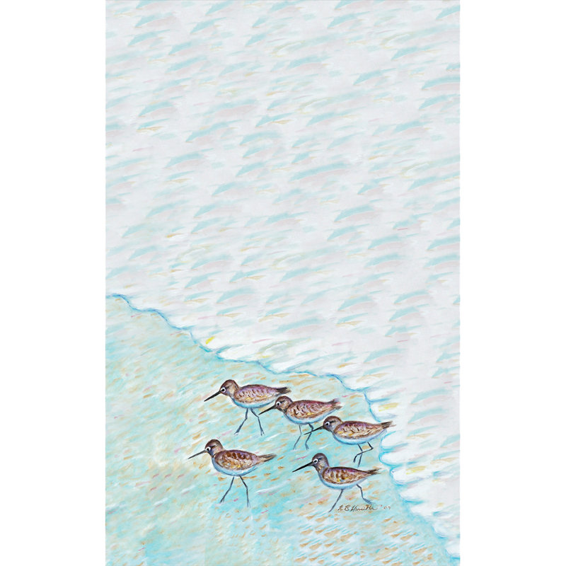 Chiffons sandpipers Isabeau