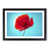 Black Framed