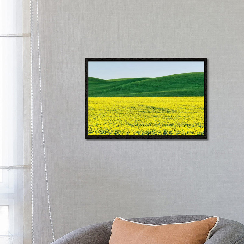 Canola Field In Spring by Terry Eggers - Gallery-Wrapped Canvas Giclée on Canvas, Black Framed, 66.04 cm H x 45.72 cm W