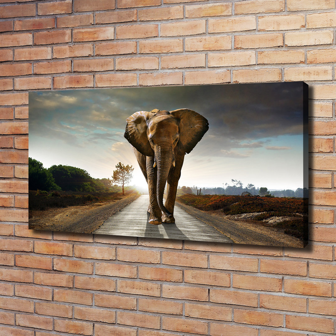 Schlendernder Elefant - Kunstdrucke auf Leinwand - Wrapped Canvas