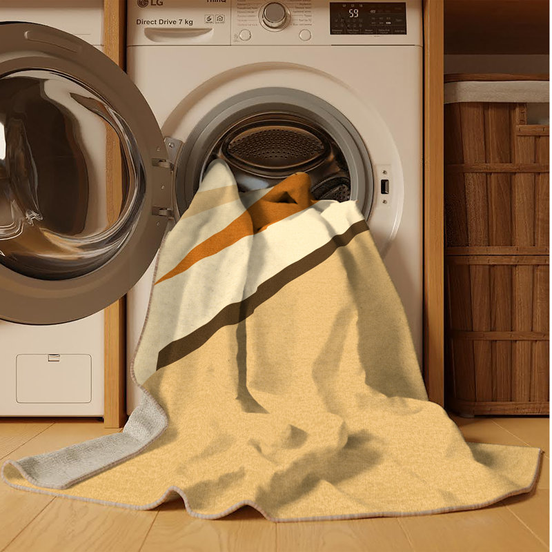 Machine Washable Aedan Pumpkin Pie Modern Rug in Beige – Beige Binding, 5x7