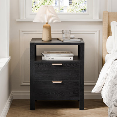 21'' W 2-Drawer Nightstand with Shelf