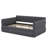 Queen Size Upholstered Platform Bed With USB And Trundle Multi-Functional Design-179504218