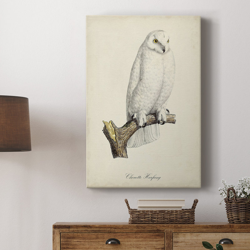 French Owls IV - galerie sur mesure, H 27 po x l 18 po