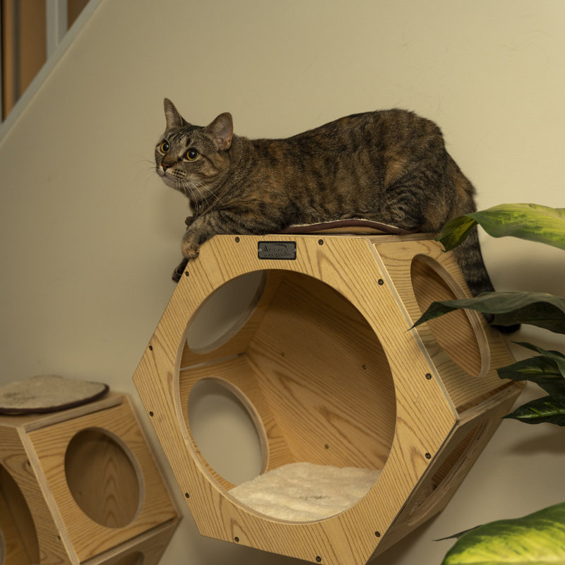 Natural Wood Hexagonal Wall-Mounted Cat Shelves Set