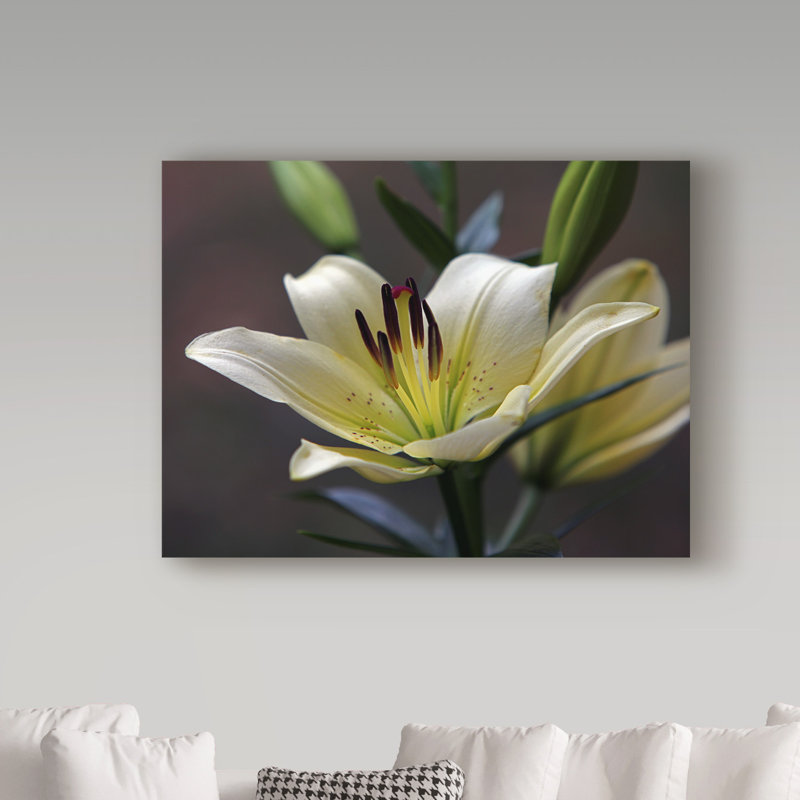 White Lily Floral Canvas Art in Gray Background