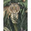 Peinture murale Bengal Sunrise | Lever de soleil / pré-collé / murale - 96 po x 142 po