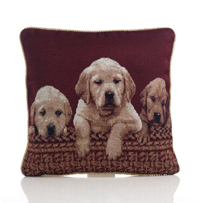 Solberg Square Throw Cushion