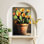 Art mural cactus désertique - 27,6 po x 17,7 po