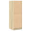 Ryong Accent Chest-1028373581