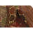 Joya Brown Rug