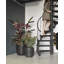Pot Planter-69453574-69453573