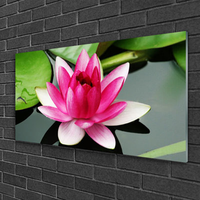 Flower Floral - Unframed Photograph on Glass