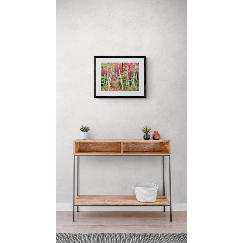 New Hampshire Autumn Forest by Bruce Heinemann, Black Framed Paper, 17.25" H x 21.25" W x 0.88" D, White