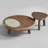 Modern Minimalist Coffee Table Set