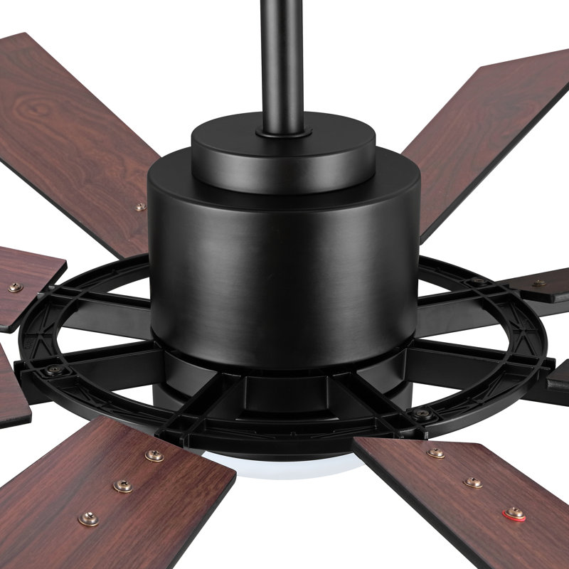 Ventilateur de plafond à courant continu Avgoustinos avec lumière DEL et télécommande, Noir avec pales noyer