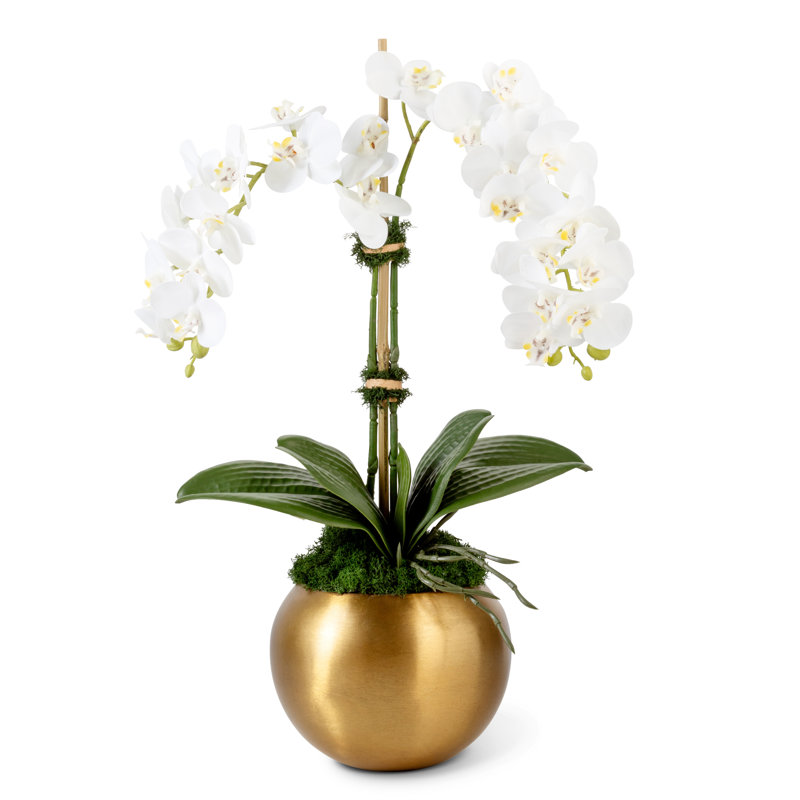 Adeline Gold Realtouch Orchid, Double Orchid