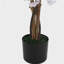 43" Artificial Cherry Blossom Tree with Black Plastic Pot