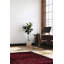 Tapis rouge Finest Esari 5 pi 0 po x 6 pi 6 po