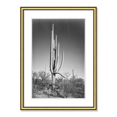 Saguaro National Monument Print by Ansel Adams