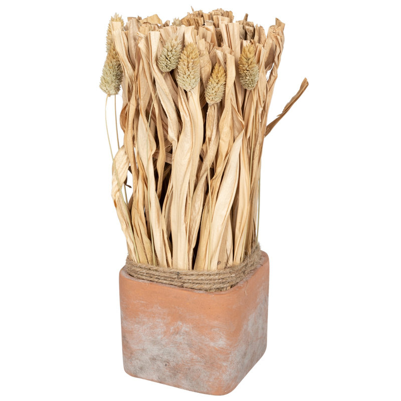 30cm Faux Pampas Grass Grass in Terracotta Pot