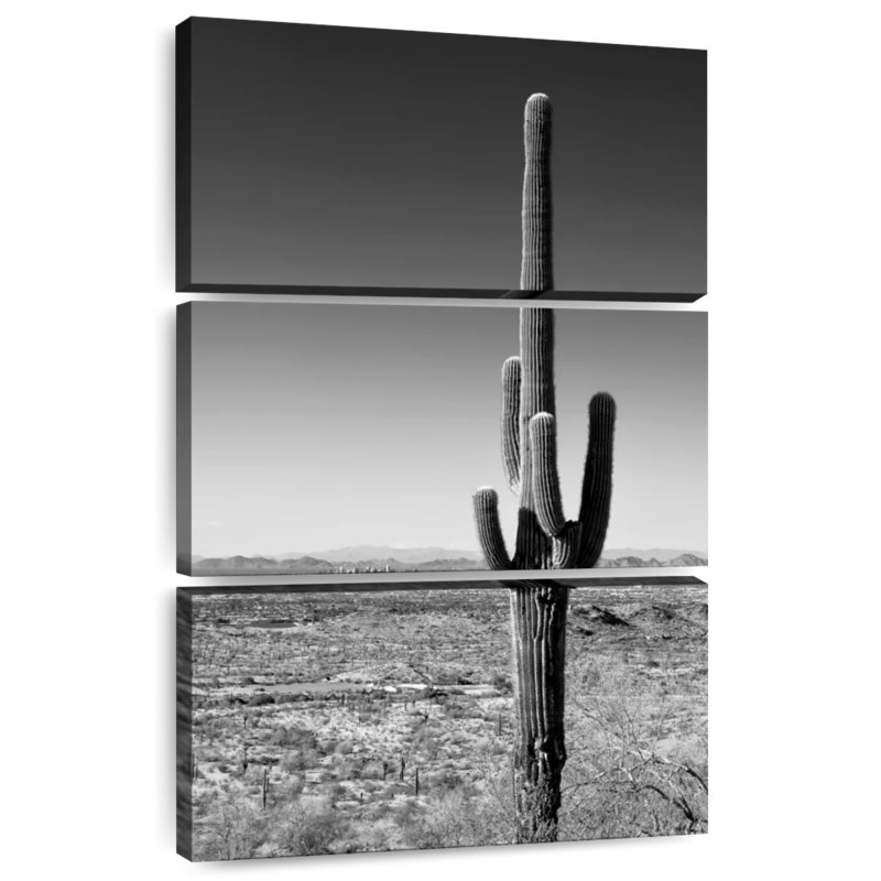 Harnek One Cactus, H 32 po x l 20 po
