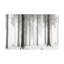Art sur toile «olog »-105650567