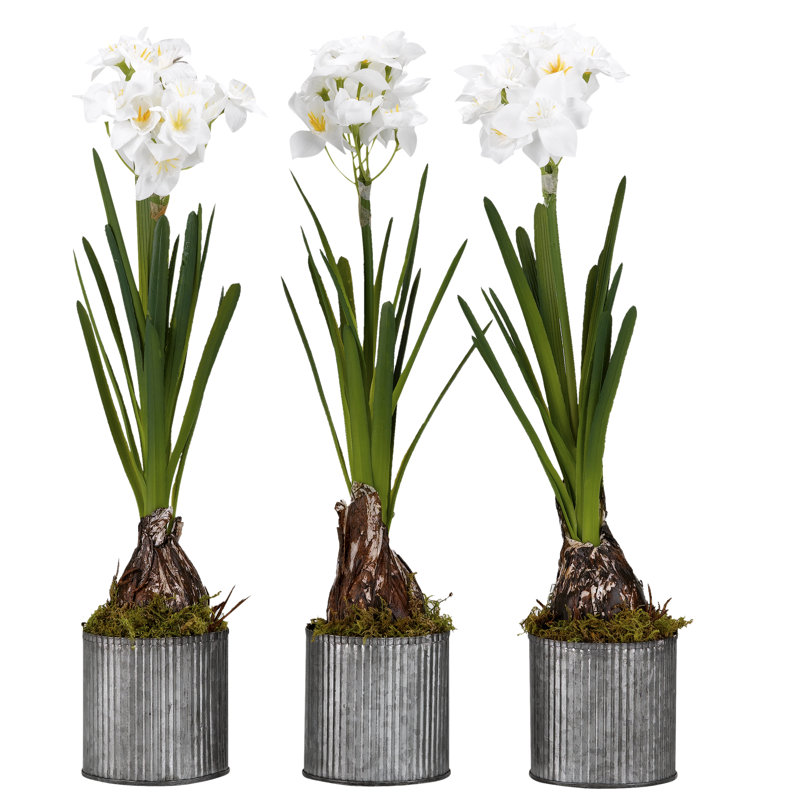 Faux Paperwhite Plant in Metal Planter