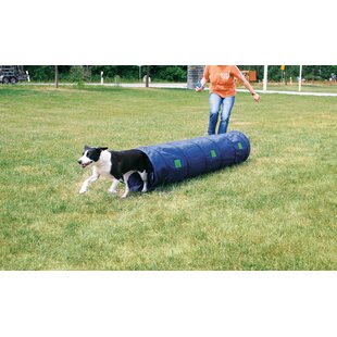 Midlee Hide A Ball Dog Toy - Blue/green (small) : Target