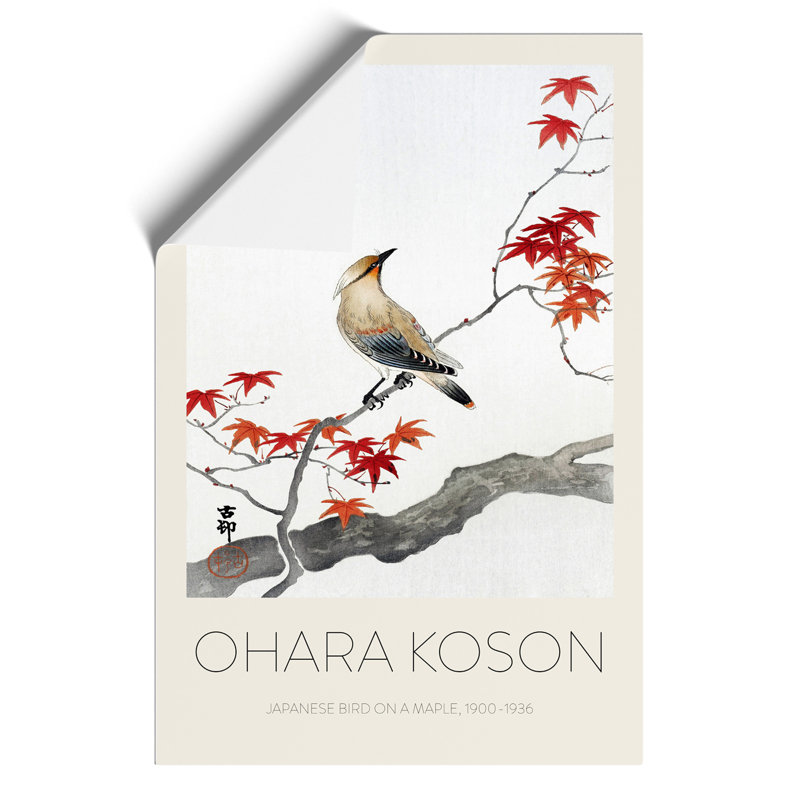 Bird upon a Maple Tree Print by Ohara Koson - Frameless Print, 42cm H x 30cm W x 0.1cm D