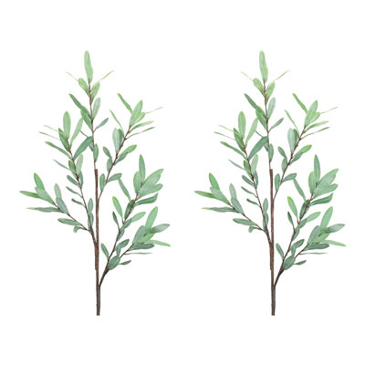 Olive Leaf Twig Branch