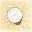 Sand-dollar - 36"x36" Framed canvas