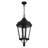 Anguel 3 - Light LED Outdoor Hanging Lantern Outdoor Lighting-1755138249