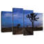 Le ciel nocturne-2080233949