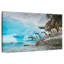 Manchots de plongeon Brampt-107848660