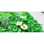 Plants & Flowers Wall Decor on Resin